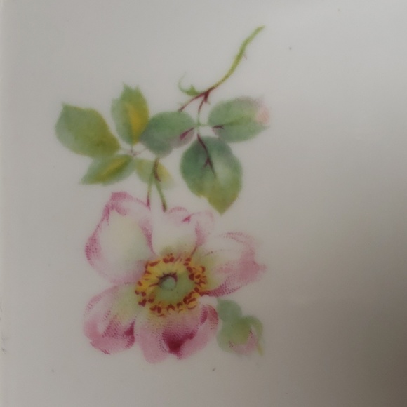 Edelstein Bavaria Soft Pink Roses Pattern # 1239 v.4 Rectangular Serving Bowl - Picture 4 of 7